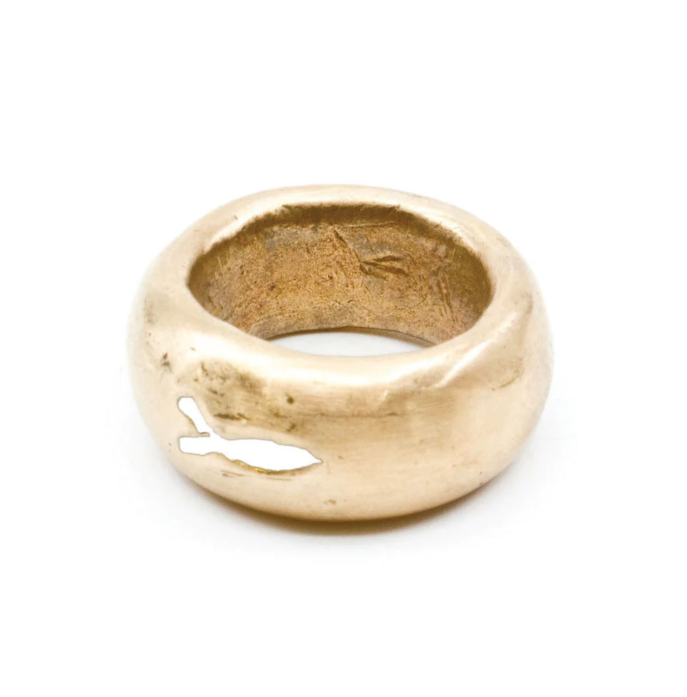 Pesci Che Volano Boe Bronze Ring